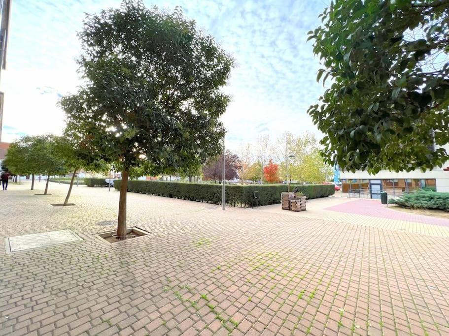 Precioso Estudio En Barajas, A Un Paso Del Metro Madrid Eksteriør bilde